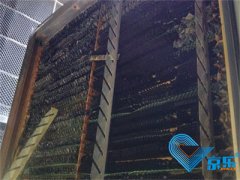 <b>餐廳中央空調風(fēng)道清洗方法和注意事項有哪些</b>